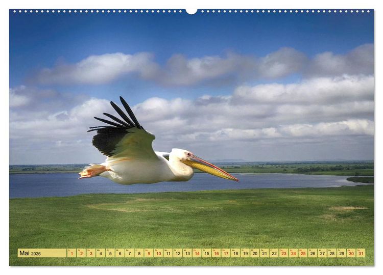 Produktbild: Donaudelta - Europas gro&szlig;es Vogelparadies (Wandkalender 2026 DIN A2 quer), CALVENDO Monatskalender