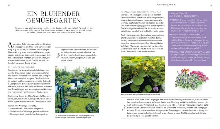 Produktbild: Bl&uuml;tenpracht und Erntegl&uuml;ck &ndash; Dein Weg zum Traumgarten