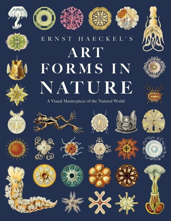 Produktbild: Ernst Haeckel's Art Forms in Nature