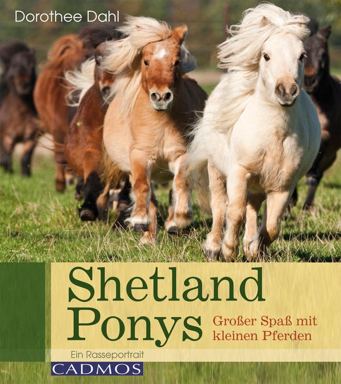 Produktbild: Shetlandponys