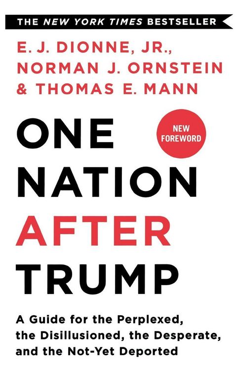Produktbild: One Nation After Trump