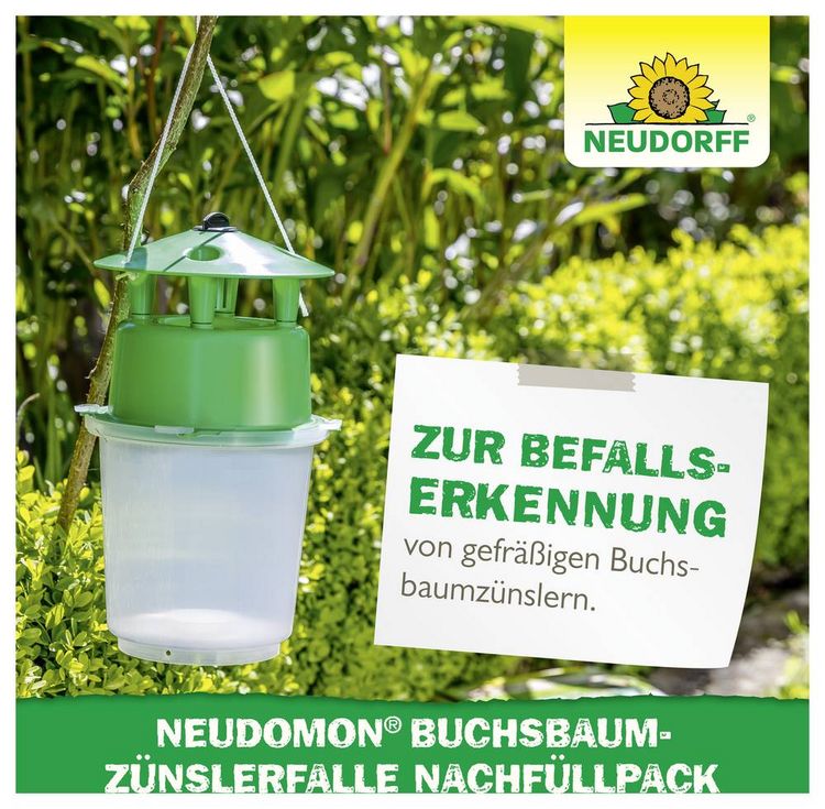 Produktbild: Neudorff 03031 Buchsbaumz&uuml;nsler-Falle Lockstoff 1St.