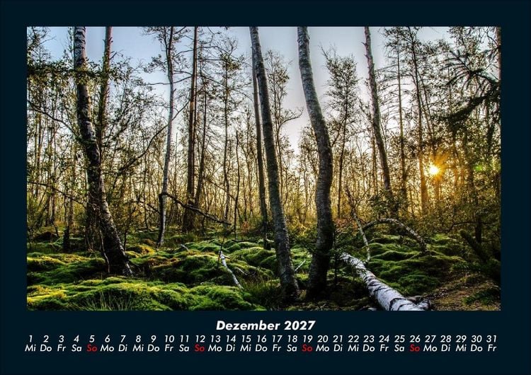 Produktbild: B&auml;ume 2027 Fotokalender DIN A4