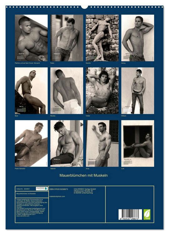 Produktbild: Mauerbl&uuml;mchen mit Muskeln (hochwertiger Premium Wandkalender 2026 DIN A2 hoch), Kunstdruck in Hochglanz