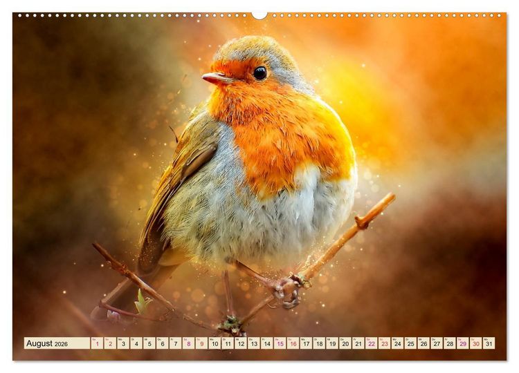 Produktbild: Bei uns im Garten - Rotkehlchen (Wandkalender 2026 DIN A2 quer), CALVENDO Monatskalender