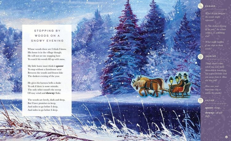Produktbild: The Illustrated Robert Frost