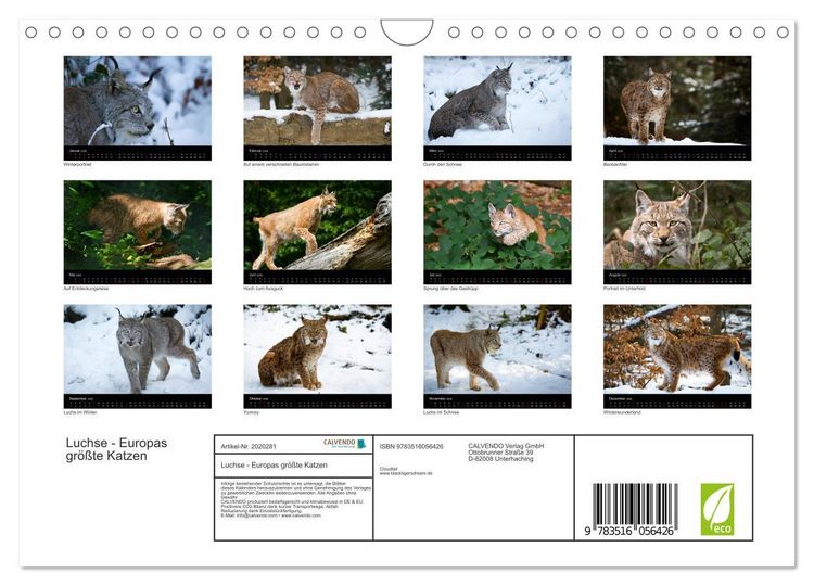 Produktbild: Luchse - Europas gr&ouml;&szlig;te Katzen (Wandkalender 2026 DIN A4 quer), CALVENDO Monatskalender