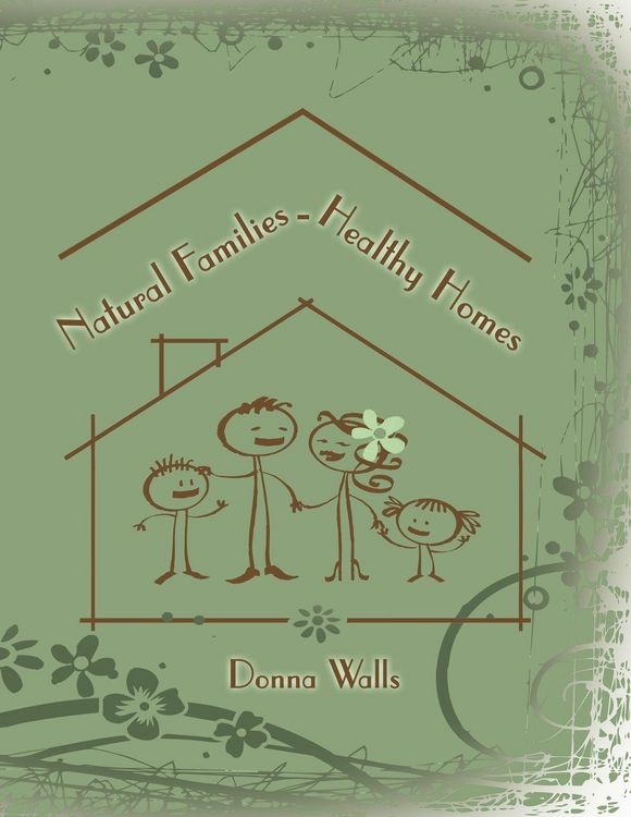 Produktbild: Natural Families-Healthy Homes