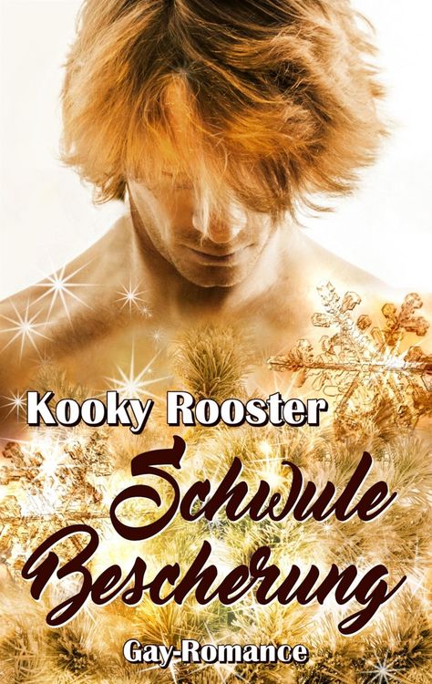 Produktbild: Schwule Bescherung