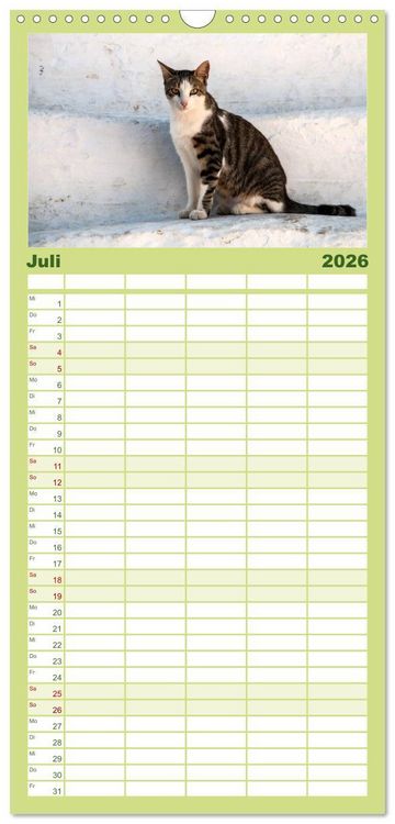 Produktbild: Familienplaner 2026 - Griechische Katzen mit 5 Spalten (Wandkalender, 21 x 45 cm) CALVENDO