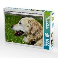 Produktbild: CALVENDO Puzzle Urspr&uuml;nglich war der Golden Retriever im Einsatz als Apportierhund, St&ouml;berhund und Wasserhund. | 1000 Teile Lege-Gr&ouml;&szlig;e 64x48cm Foto-Pu