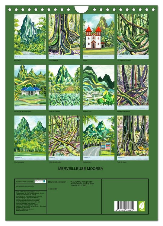 Produktbild: MERVEILLEUSE MOOR&Eacute;A (Calendrier mural 2026 DIN A4 horizontal), CALVENDO calendrier mensuel
