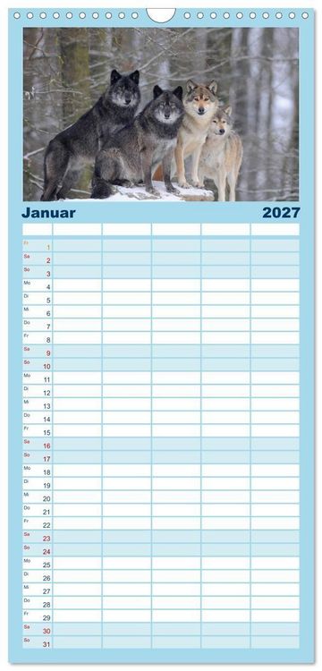 Produktbild: Familienplaner 2027 - Kanadische W&ouml;lfe im Winter mit 5 Spalten (Wandkalender, 21 x 45 cm) CALVENDO