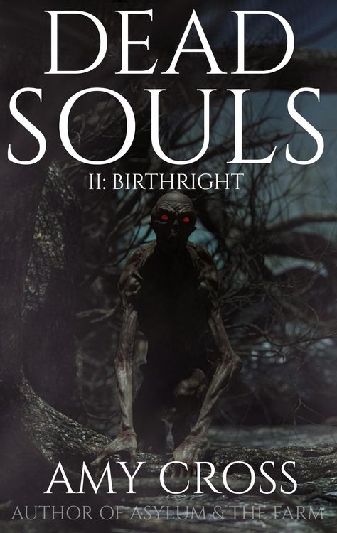 Produktbild: Birthright (Dead Souls, #2)