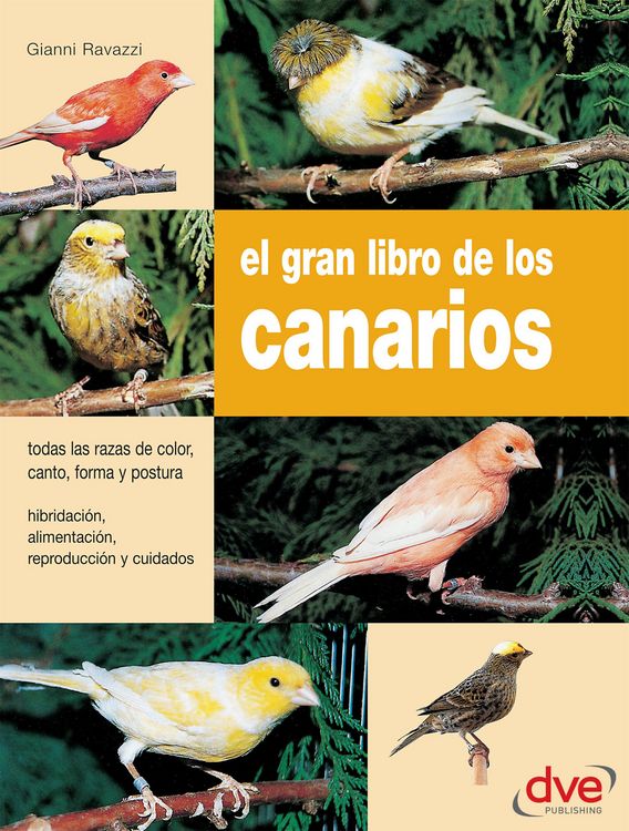 Produktbild: El gran libro de los canarios