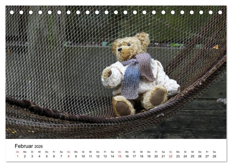 Produktbild: Teddys...jeder liebt sie (Tischkalender 2026 DIN A5 quer), CALVENDO Monatskalender