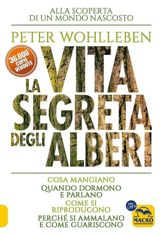 Produktbild: La vita segreta degli alberi. Cosa mangiano. Quando dormono e parlano. Come si riproducono. Perch&eacute; si ammalano e come guariscono
