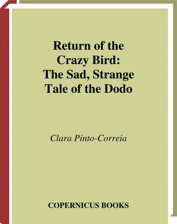 Produktbild: Return of the Crazy Bird
