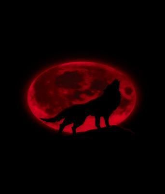 Produktbild: The Wolf