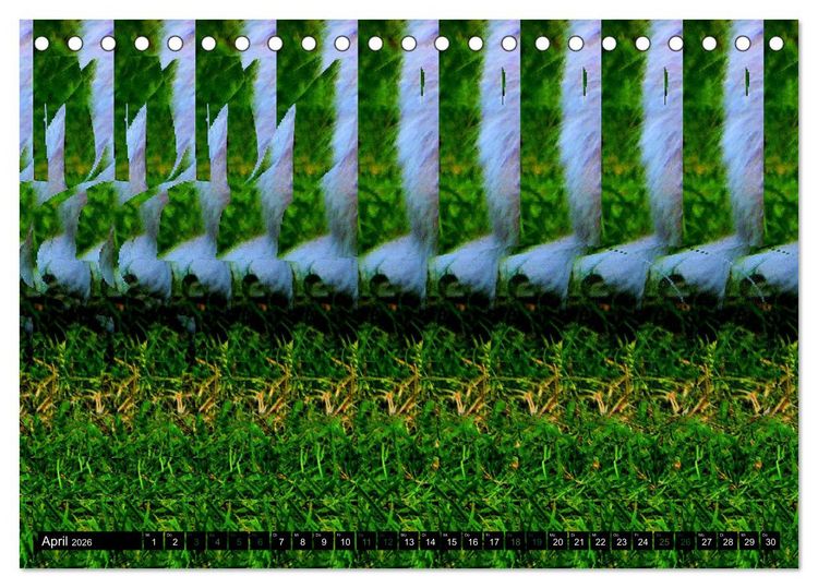 Produktbild: Magische Bilder - 3D Stereogramme (Tischkalender 2026 DIN A5 quer), CALVENDO Monatskalender