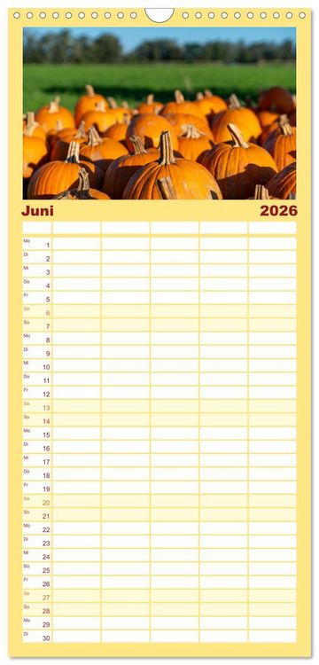 Produktbild: Familienplaner 2026 - K&Uuml;RBIS KALENDER - Die sch&ouml;nsten K&uuml;rbisse des Jahres mit 5 Spalten (Wandkalender, 21 x 45 cm) CALVENDO