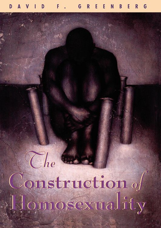 Produktbild: The Construction of Homosexuality