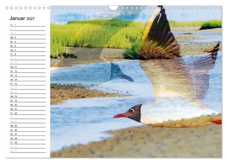 Produktbild: Fan&oslash; - Mit k&uuml;nstlerischem Auge betrachtet (Wandkalender 2027 DIN A3 quer), CALVENDO Monatskalender