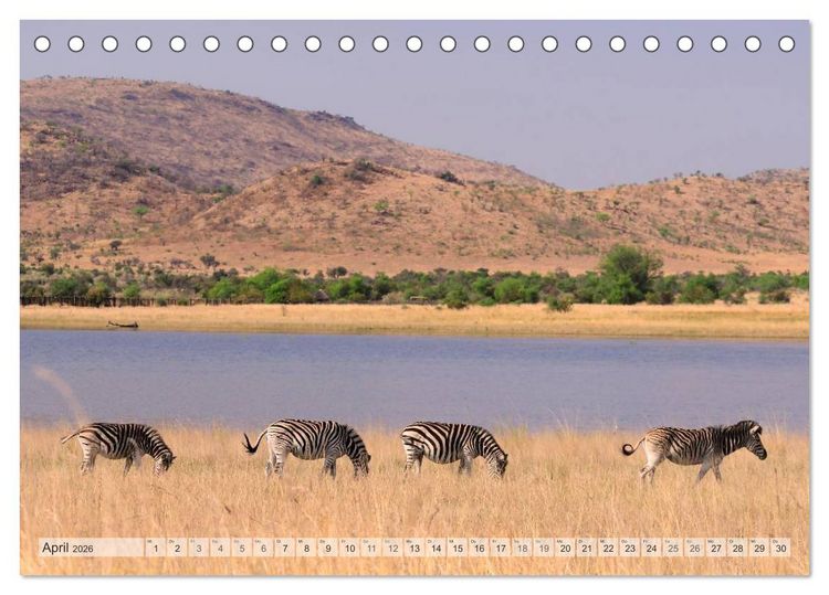 Produktbild: Afrikas Tierwelt Christian Heeb (Tischkalender 2026 DIN A5 quer), CALVENDO Monatskalender