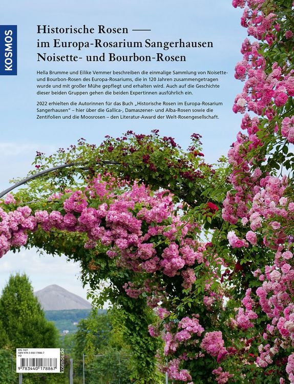 Produktbild: Historische Rosen im Europa Rosarium Sangerhausen: Noisette- und Bourbon-Rosen