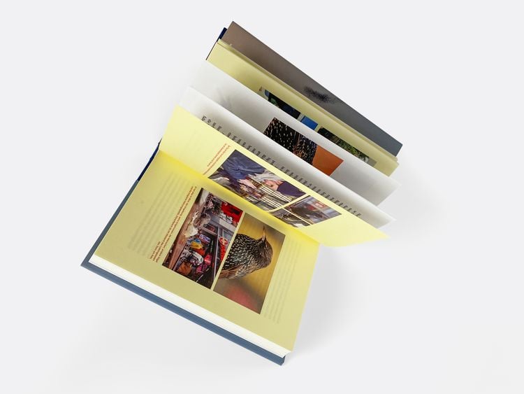 Produktbild: Unter Staren