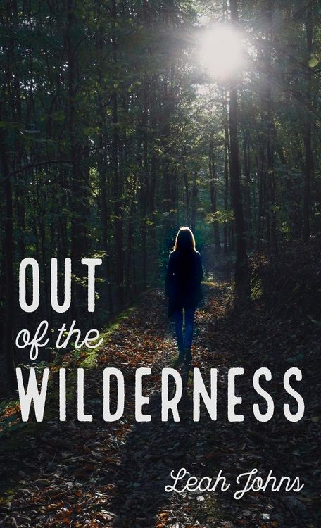 Produktbild: Out of the Wilderness