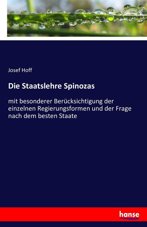 Produktbild: Die Staatslehre Spinozas