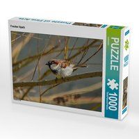 Produktbild: CALVENDO Puzzle Frecher Spatz 1000 Teile Lege-Gr&ouml;&szlig;e 64 x 48 cm Foto-Puzzle Bild von kattobello