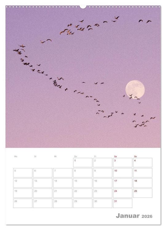 Produktbild: VOLLMOND-Planer - Im Licht der Nacht (Wandkalender 2026 DIN A2 hoch), CALVENDO Monatskalender