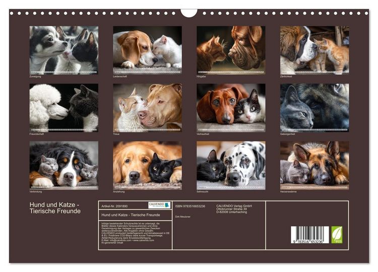 Produktbild: Hund und Katze - Tierische Freunde (Wandkalender 2026 DIN A3 quer), CALVENDO Monatskalender