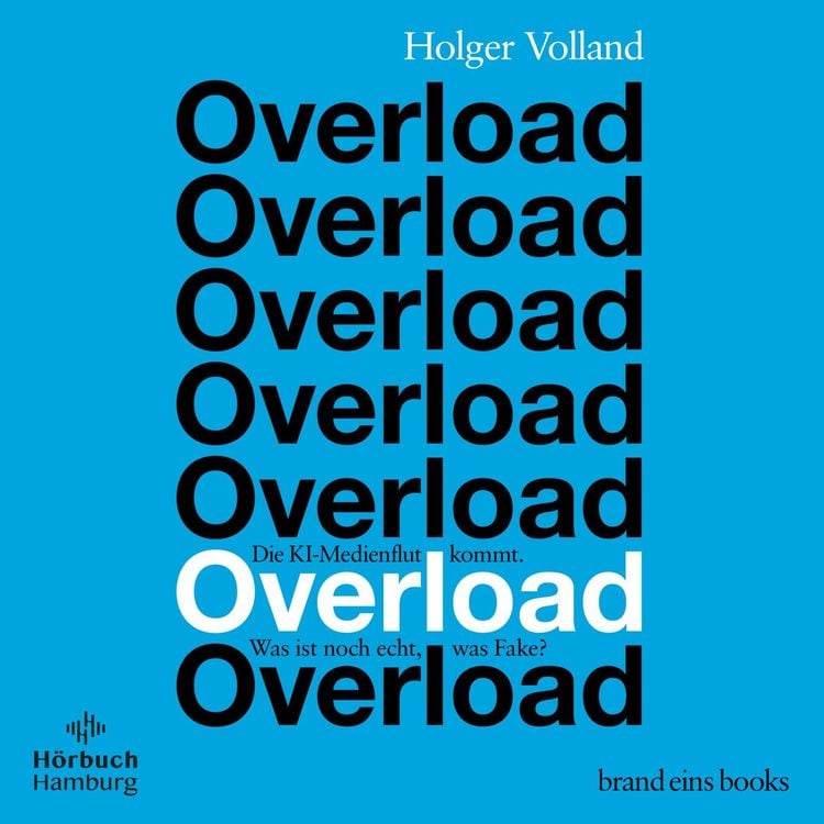 Bild vom Artikel Overload (brand eins audio books 4) vom Autor Holger Volland