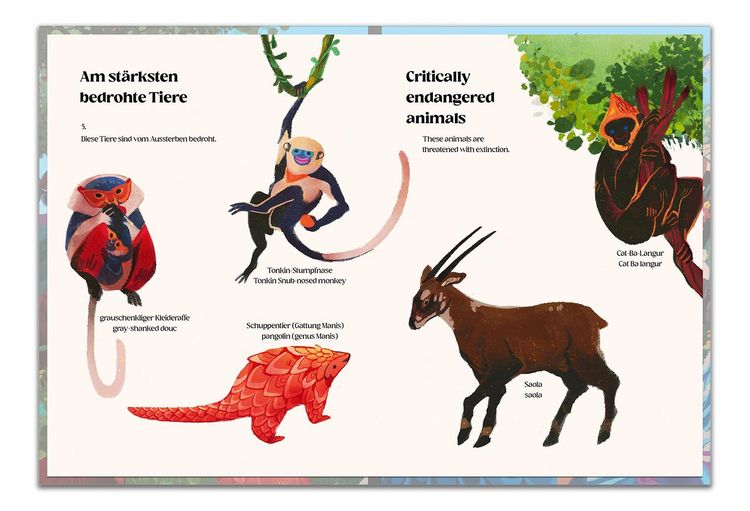 Produktbild: Das Land der Drachen und Feen - The Land of Dragons and Fairies