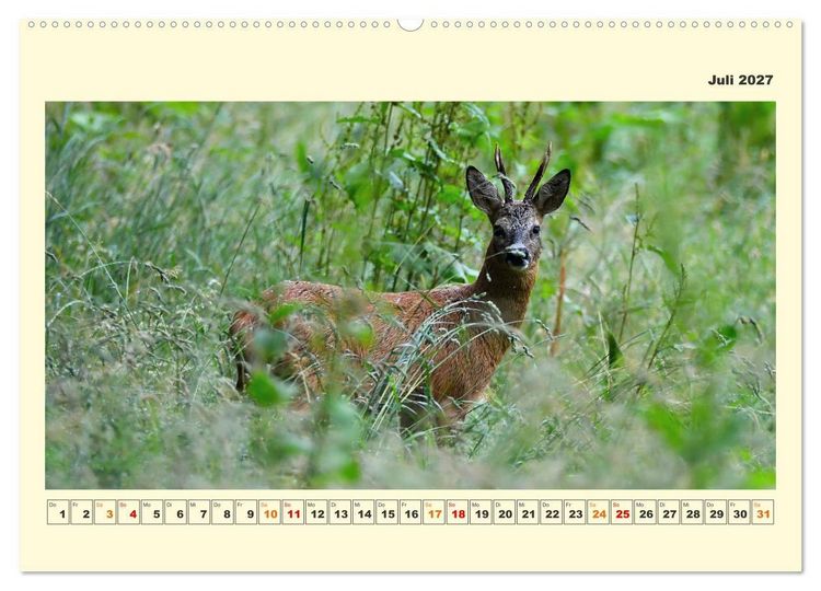 Produktbild: Tierwelt der W&uuml;mmeniederung (hochwertiger Premium Wandkalender 2027 DIN A2 quer), Kunstdruck in Hochglanz