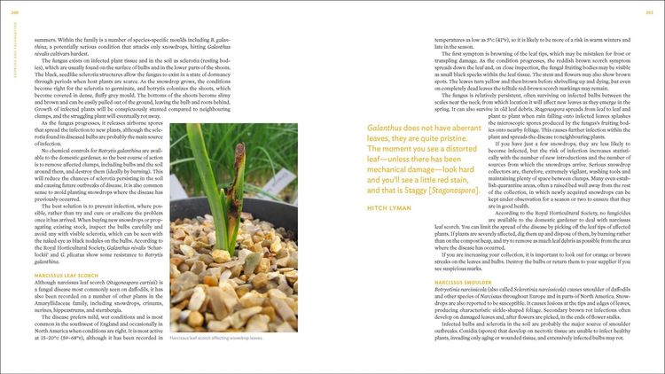 Produktbild: The Plant Lover's Guide to Snowdrops