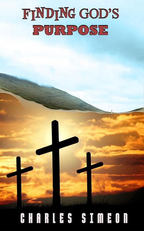 Produktbild: Finding God's Purpose