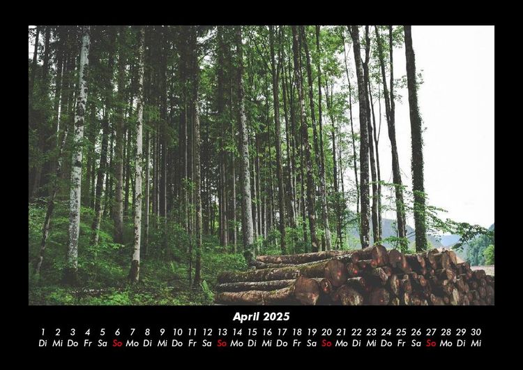 Produktbild: Landschaftskalender 2025 Fotokalender DIN A3