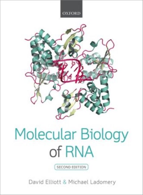 Produktbild: Molecular Biology of RNA