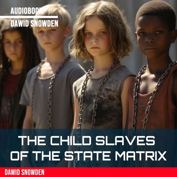 Produktbild: The child slaves of the state Matrix
