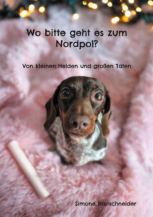 Produktbild: Wo bitte geht es zum Nordpol?