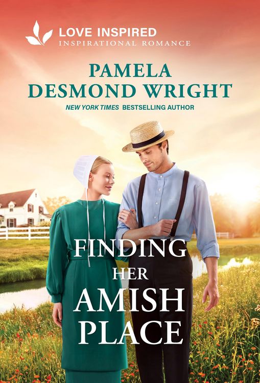 Produktbild: Finding Her Amish Place