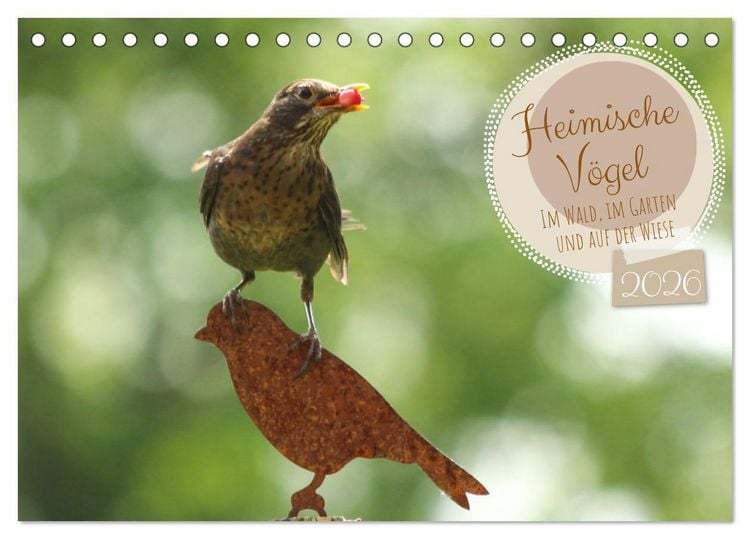 Produktbild: Heimische V&ouml;gel - Im Wald, im Garten und auf der Wiese (Tischkalender 2026 DIN A5 quer), CALVENDO Monatskalender