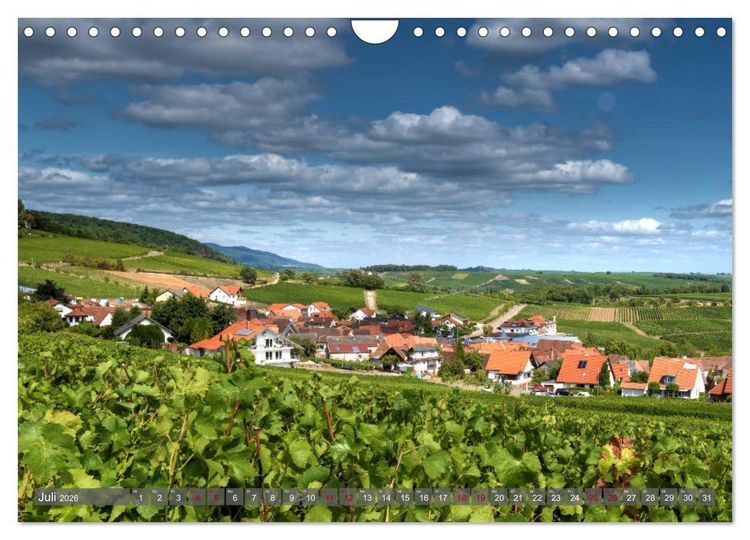 Produktbild: Weinland Pfalz - Region S&uuml;dliche Weinstra&szlig;e (Wandkalender 2026 DIN A4 quer), CALVENDO Monatskalender