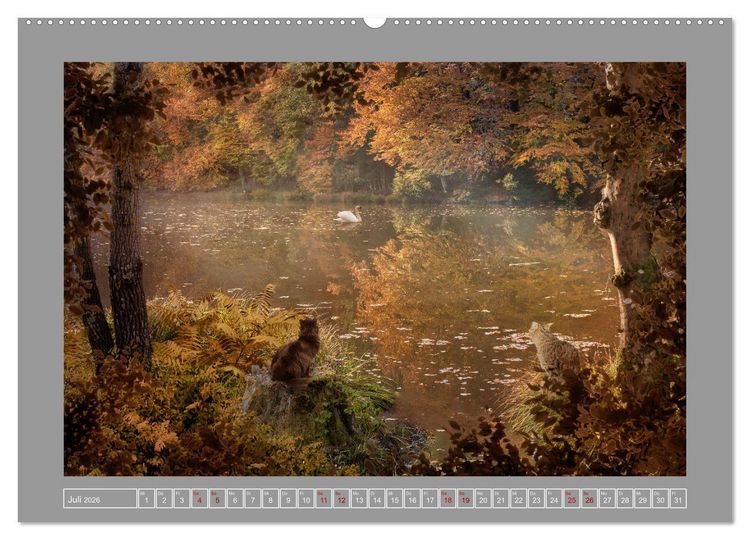 Produktbild: Kleine Streuner (hochwertiger Premium Wandkalender 2026 DIN A2 quer), Kunstdruck in Hochglanz