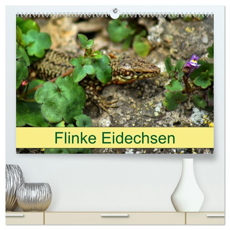 Produktbild: Flinke Eidechsen (hochwertiger Premium Wandkalender 2026 DIN A2 quer), Kunstdruck in Hochglanz