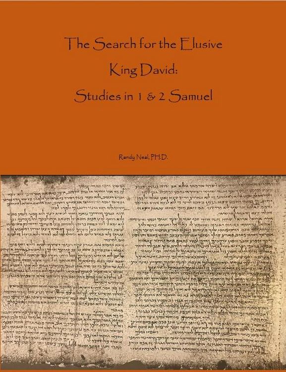 Produktbild: The Search For The Elusive King David: Studies In 1 & 2 Samuel (Observant Series on the Old Testament, #1)